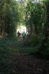 640x480-20191026 112730