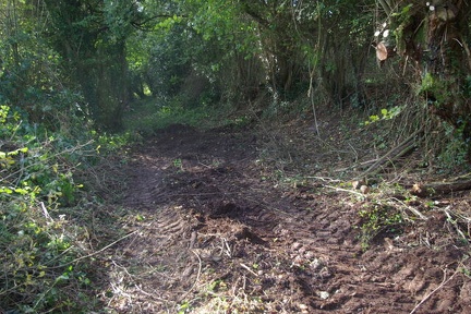 640x480-20191026 112818