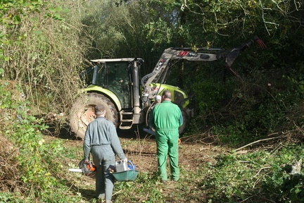 640x480-20191026 112827