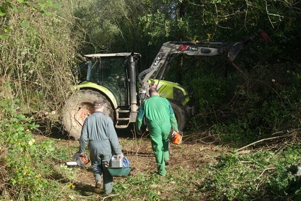 640x480-20191026 112828