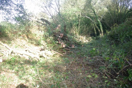 640x480-20191026 112855