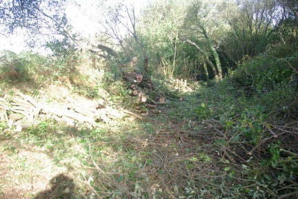 640x480-20191026 112856