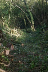 640x480-20191026 112919