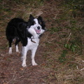 640x480-p20071007 182633