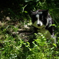 640x480-p20080622 153118