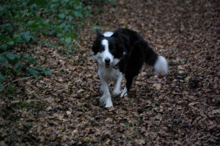 640x480-p20081221 173556