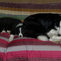 640x480-p20090613 210120