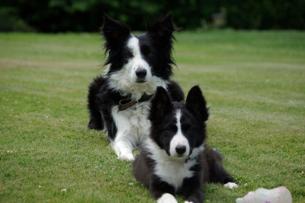 640x480-p20090705 153107