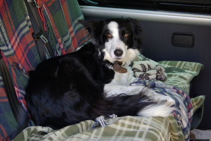 640x480-p20090809 163636