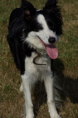 640x480-p20090809 173336