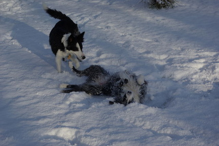 640x480-p20091219 115447