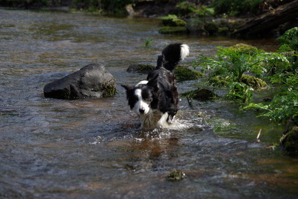 640x480-p20100418 160410