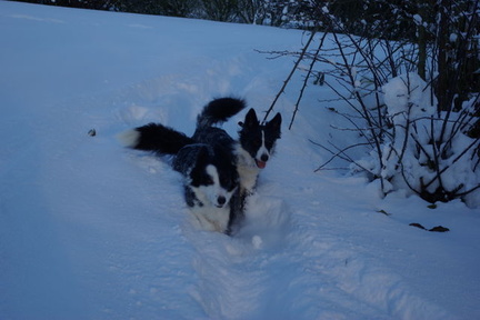 640x480-p20101203 105654