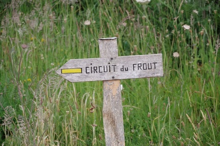 1200-20240608 100254