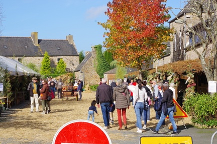 1200-20241019 145917