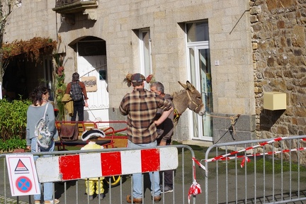 1200-20241019 145425