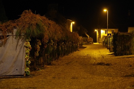 1200-20241020 232712