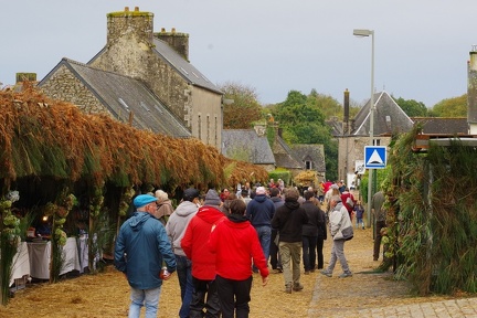 1200-20241020 180107