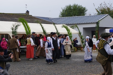 1200-20241020 165550