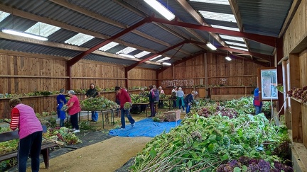 1200-Lanvellec-16-10-24-16