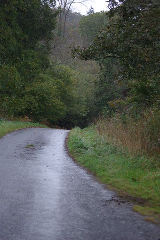 640x480-20141108_113932.JPG