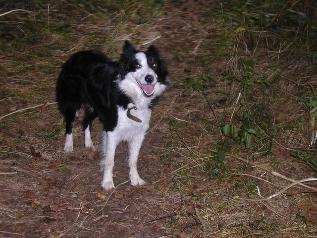 640x480-p20071007_182633.jpg