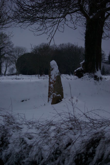 neige février 2021, premiers flocons