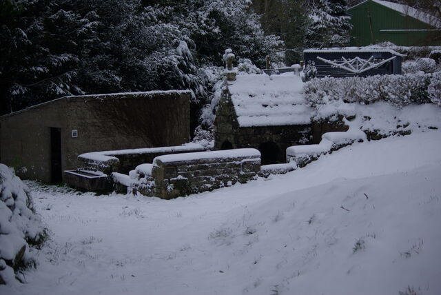 neige février 2021, premiers flocons